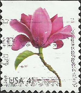 # 4180 USED MAGNOLIA