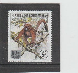 Malagasy Republic  Scott#  836  MNH  (1988 Greater Bamboo Lemur)