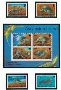Ascension 585-89 MNH Green Turtle