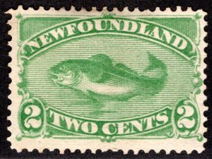 43, NSSC, Newfoundland, 2c, green, 1870,  Codfish, MNG, F