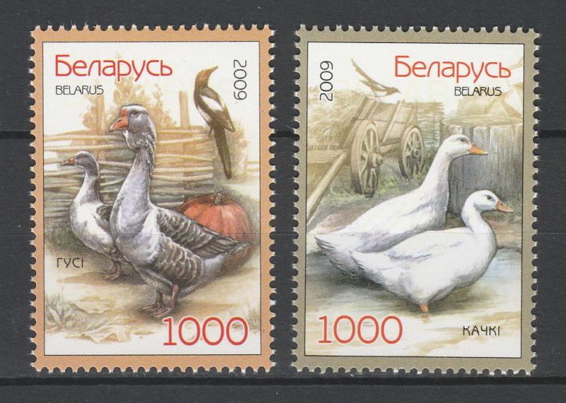 Belarus 2009 Birds Poultry Ducks 2 MNH stamps