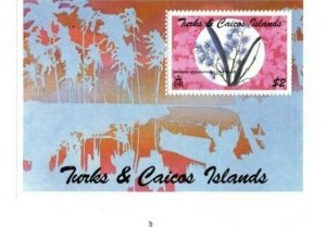 Turks and Caicos - 1994 - Orchids - Souvenir Sheet - MNH