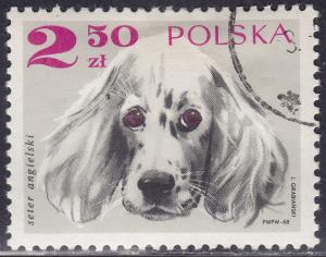 Poland 1640 English Setter 2.50zł 1969