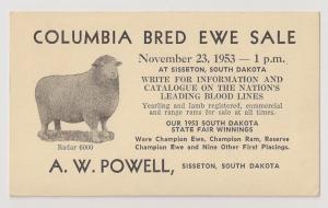 2c UX38 used w EWE SALE announcement PHOTO of sheep