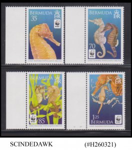 BERMUDA - 2010 WWF FISH / SEA HORSE 4V MNH