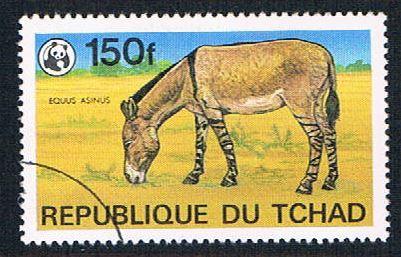 Chad 371 Used Zebra  (BP1454)