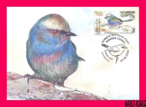 KYRGYZSTAN 2020 Nature Fauna Bird of Year White-Browed Tit-Warbler Maxicard Card