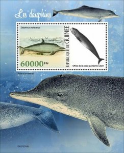 Guinea 2021 MNH Marine Animals Stamps Dolphins Delphinus malayanus 1v S/S