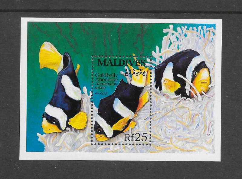 FISH - MALDIVES #1869  GOLDBELLY ANEMONE  MNH