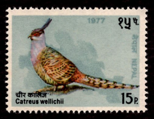 Nepal 1977 Cheer Pheasant Bird 15p Scott.332 MNH