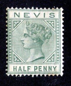 1883 Nevis Sc#21 M* ( 1409 BCX2 )