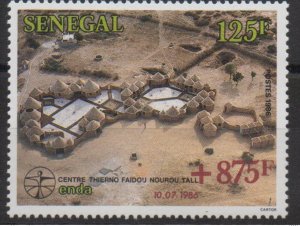 Senegal 1988 Mi. 987I +875F 10.07.1986 ENDA FAIDOU SAIDOU VARIETY CENTRE THERMO-