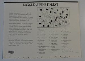 US Sc. #3611 Longleaf Pine Forest Sheet – MNH