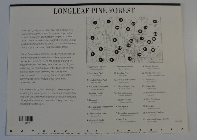 US Sc. #3611 Longleaf Pine Forest Sheet – MNH