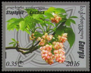 2016 Georgia 689 Flora of Georgia