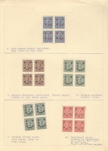 CHINA, Paper Varieties, Mint Blocks of Stamps hinged on 2 pages