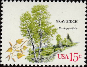 # 1767 MINT NEVER HINGED ( MNH ) GRAY BIRCH