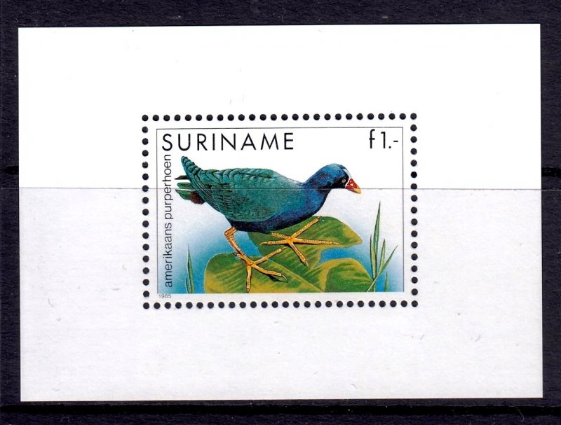 Surinam 1985 Birds Mint MNH Miniature Sheet SC 725a SG MS1253