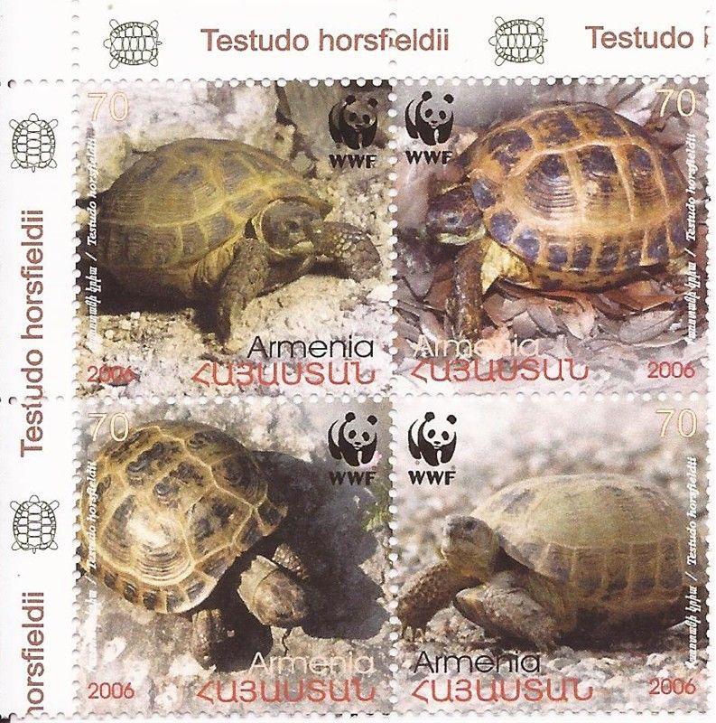 Armenia - 2006 Turtles - 4 Stamp Block - 1U-001