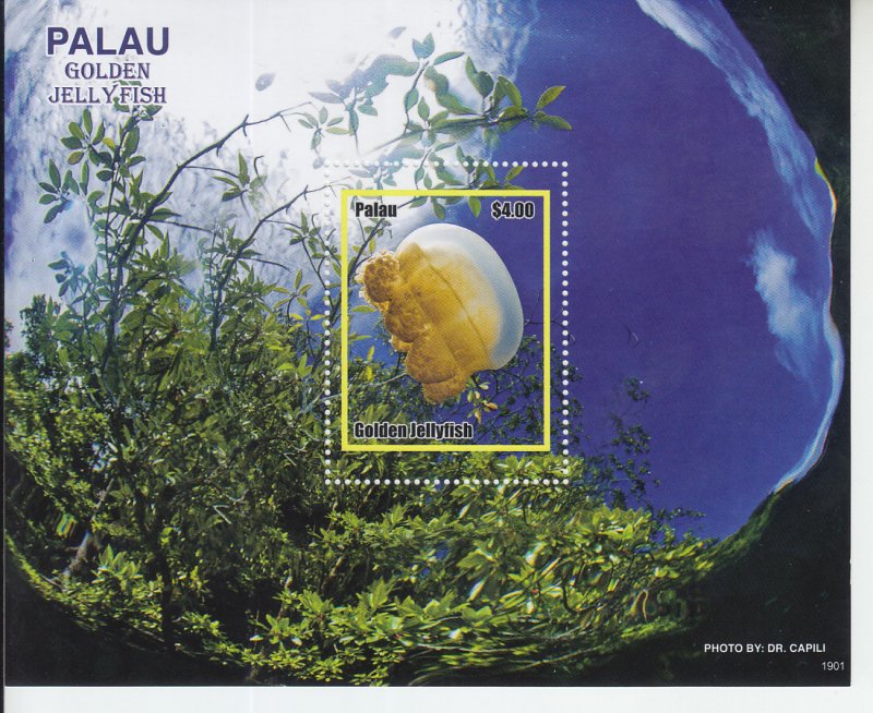 2019 Palau Golden Jellyfish SS (Scott NA) MNH