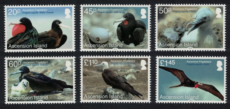 Ascension Frigatebird 'Fregata aquila' 6v 2013 MNH SG#1176-1181 MI#1219-1224