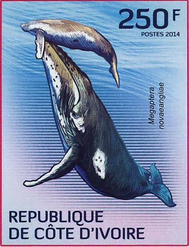 Whale Stamp Feresa Attenuata Pseudorca Crassidens Megaptera Novaeangliae S/S MNH