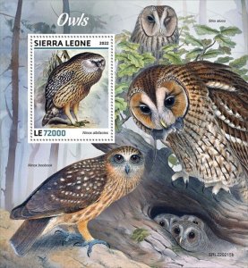 Sierra Leone - 2022 Laughing Owl - Stamp Souvenir Sheet - SRL220215b