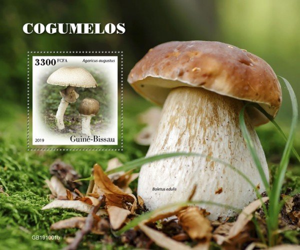 GUINEA BISSAU - 2019 - Mushrooms - Perf Souv Sheet - M N H