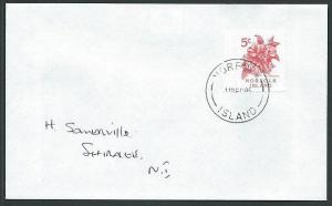 NORFOLK IS 1995 local cover with 5c Red Hibiscus local stamp...............42779