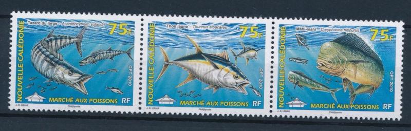 [37777] New Caledonia 2010 Marine life Fish MNH