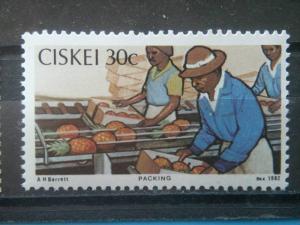 CISKEI, 1982, MNH 30c, Pineapple, Scott 41