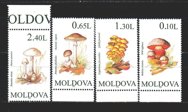 Moldova. 1995. 191-94 from the series. Mushrooms. MNH.