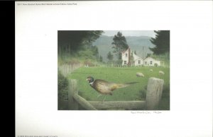 NEW ZEALAND 2011 DUCK STAMP PRINT  Ring Neck Pheasant by Paul Martinson Reg $195