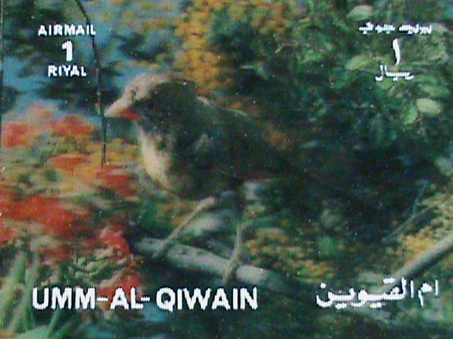 UMM AL QIWAIN STAMP-COLORFUL 3D STAMP-SINGING BIRD- MINT STAMP- VERY FINE