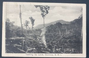 1915 Roseau Dominica RPPC Postcard Cover To Kingston England Opening Up Lands