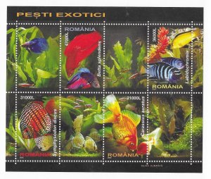 ROMANIA Sc 4714a NH SOUVENIR SHEET OF 2005 - FISH