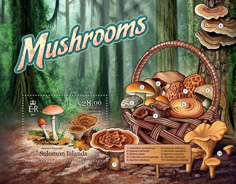 SOLOMON IS.- 2013 - Mushrooms of the Solomons-Perf Souv Sheet -Mint Never Hinged