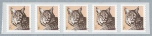 PNC5 1c Bobcat P2222 SA (12) US 4672 MNH F-VF