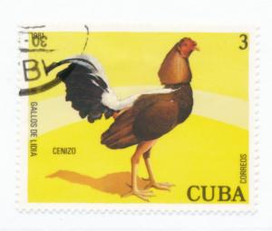 Cuba 1981 Scott 2413 used - 3c, Fighting cocks, Cenizo