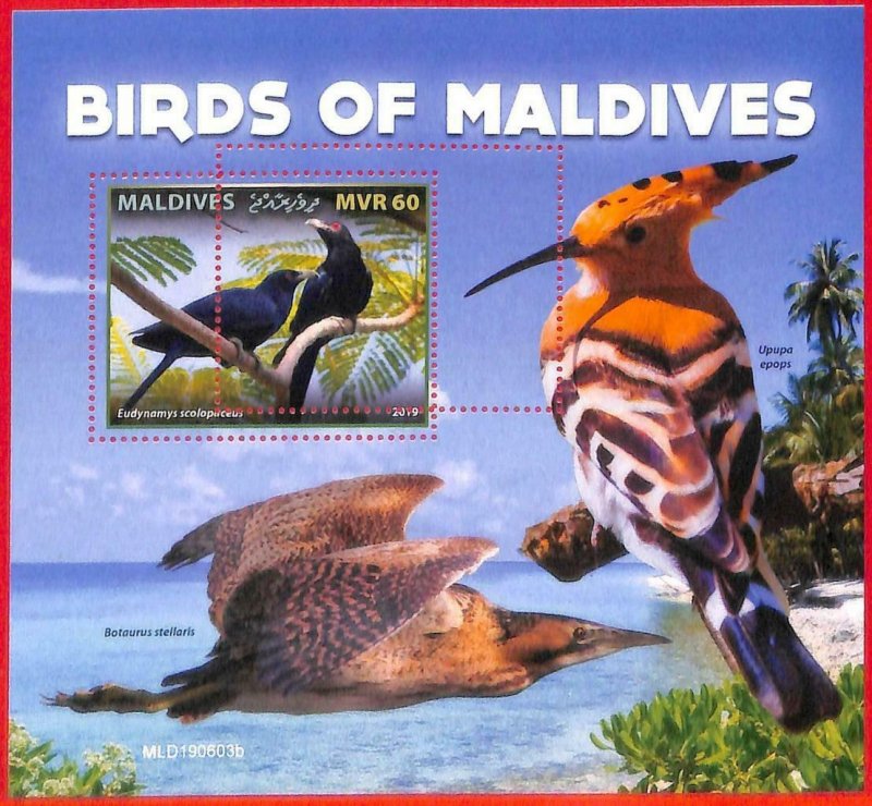 A4185 - MALDIVES - ERROR MISPERF, Souvenir sheet: 2019, Birds 