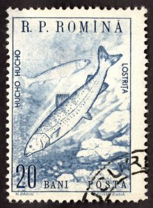 1960, Romania 20b, Used, CTO, thin, Sc 1315