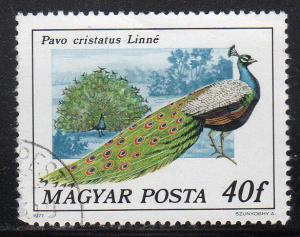 Hungary 2471 - CTO-NH - Peacock (1)