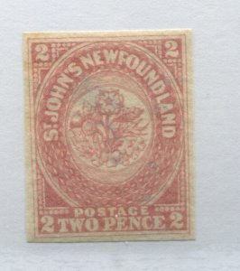 Newfoundland 1860 2d rose mint o.g. hinged