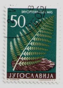 1957 Yugoslavia #475 Male Fern (Dryopteris filix-mas) Flowers Plants Flora, USED