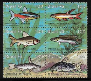 BRAZIL 1976 BRAZILIAN FRESHWATER FISH FAUNA BLOCK OF 6 DIFF MINT NH SC 1460/65 