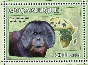 Apes Stamp Borneo Proboscis Cercopithecidae Cebidae S/S MNH #3056-3061