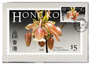 Hong Kong Flowers First Day Cancelled Postcard set A 1985