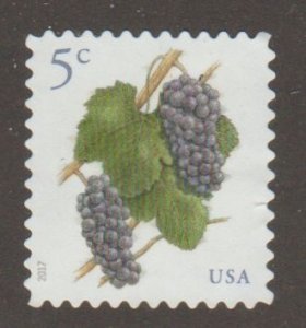 USA 5177 Grapes