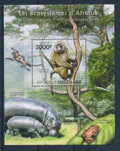 [27015] Togo 2011 Wild Life African Ecosystem Monkey MNH Sheet