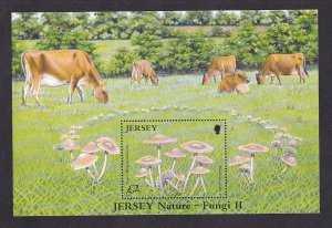 Jersey   #1189   MNH  2005  sheet mushrooms